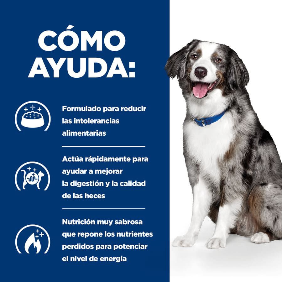 12 kg Hill's Prescription Diet Digestive Care i/d ra&ccedil;&atilde;o para c&atilde;es, , large Imagem n&uacute;mero 4